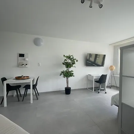 H95 Studios In Basel City With Basel Card Extérieur photo